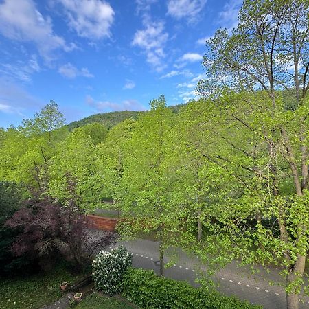 Apartment Villa Elisa バート・クロイツナハ エクステリア 写真
